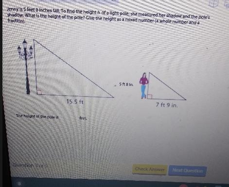 Jenny is 5 feet 8 Inches tall. To find the height h of a light pole, she measured-example-1