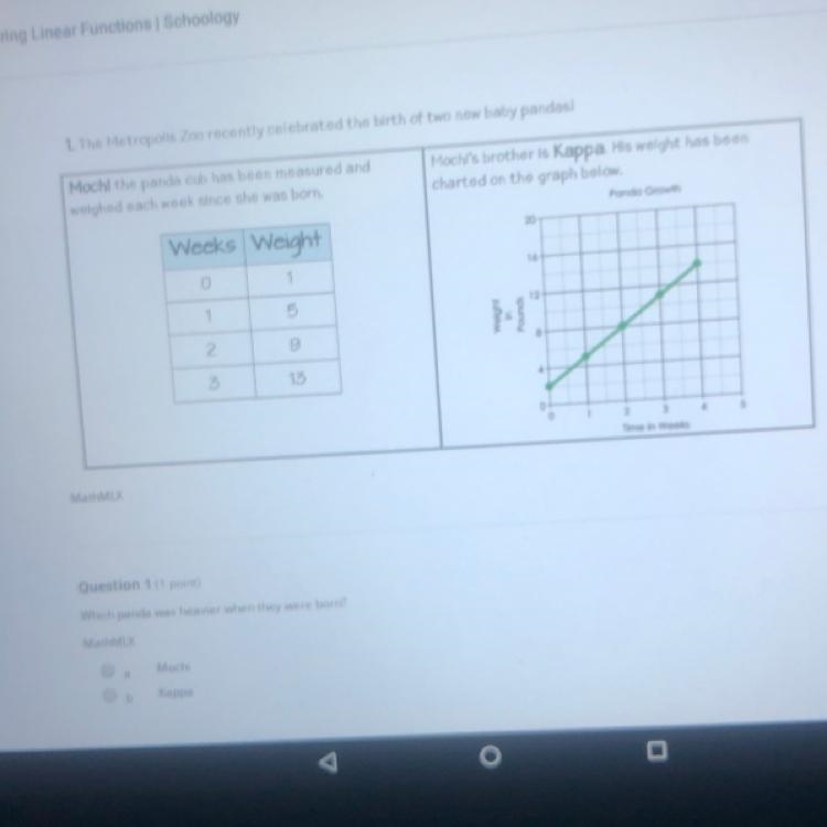 MathMLXQuestion 1 (1 point)Which pandawas heavier when they were born?MathMLXMochi-example-1