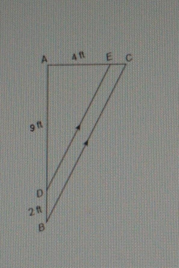 (practice test help!!)In the image below, DE || BC. Find the measure of EC. Set up-example-1