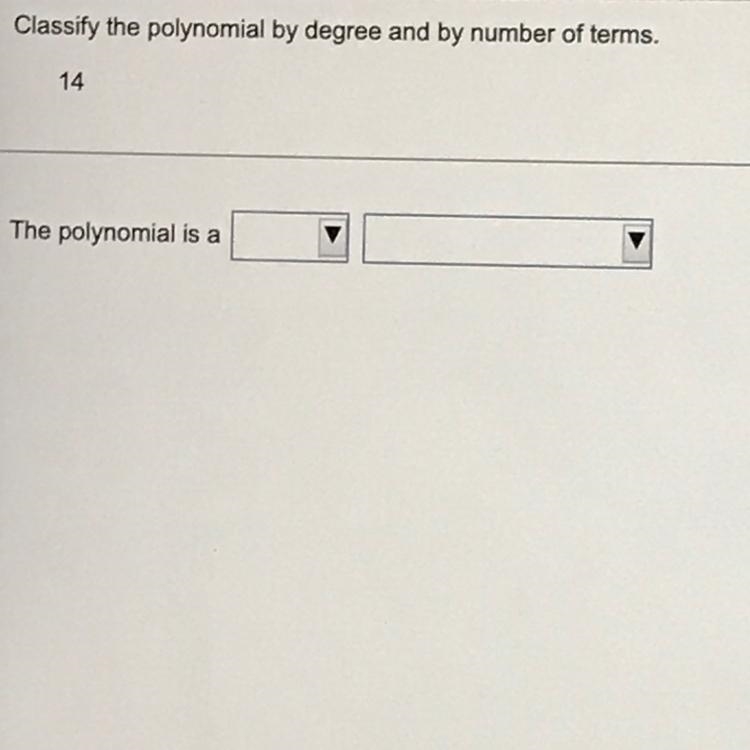 Classify the polynomial by degree and by number of terms. 14-example-1