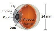 The length of the segment is _____centimeters The scale is __cm : __mm.-example-1