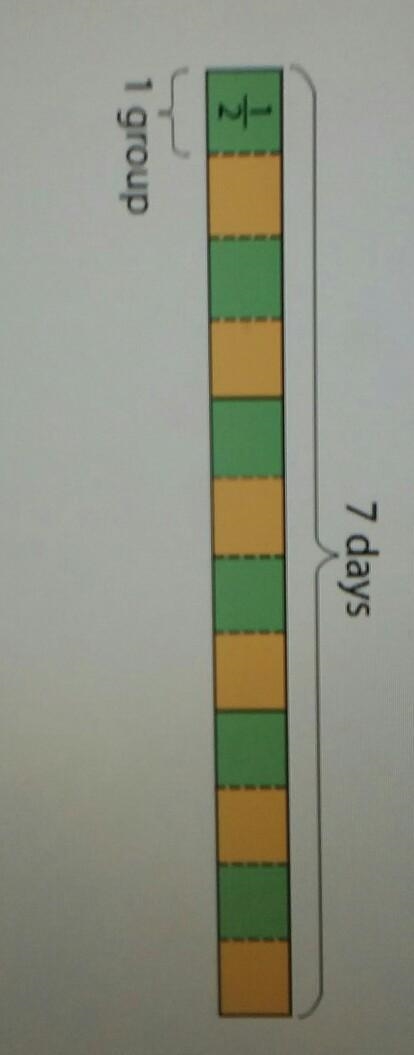 How many groups of 1/2 days are in 1 week? Use the tape diagram below to answer the-example-1