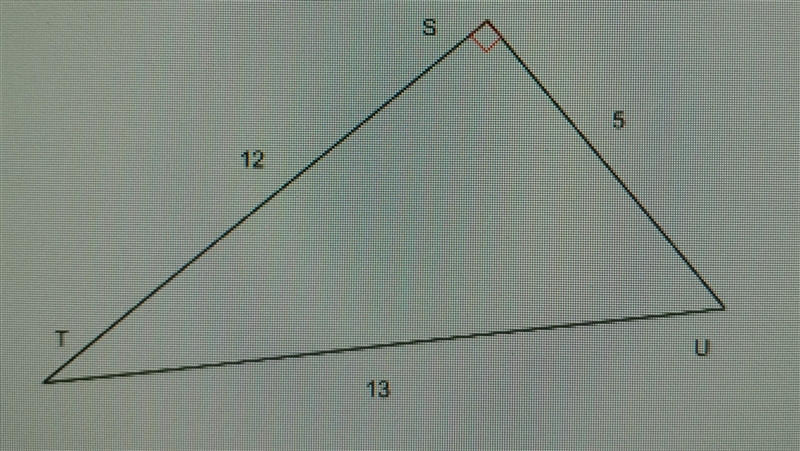 Find the sin T. Round to the nearest hundredth.​-example-1