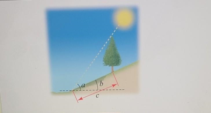 A tree on a hillside casts a shadow c = 215 ft down the hill. If the angle of inclination-example-1