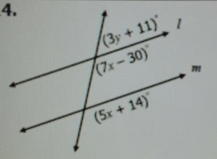 Find the values of x and y if l || m.-example-1