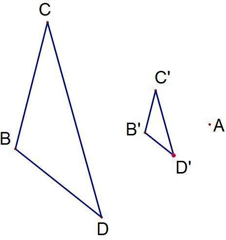 The distance from B to B' is 6 and the distance from A to B' is 2. What is the scale-example-1