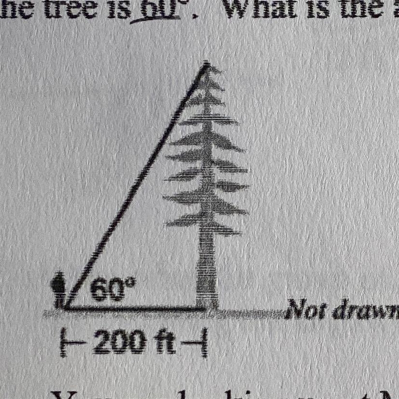 You are standing 200 feet from the base of a redwood tree. You estimate the angle-example-1