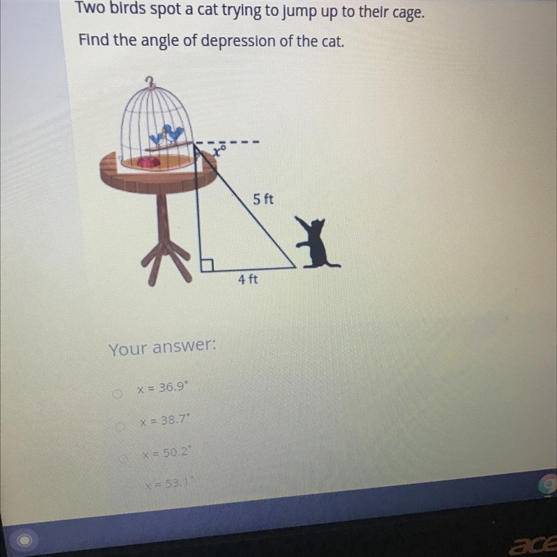 Two birds spot a cat trying to jump up to their cage Find the angle of depression-example-1