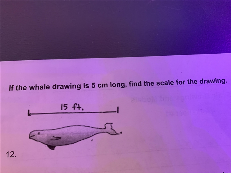 If the whale drawing is 5 cm long, find the scale for the drawing.-example-1