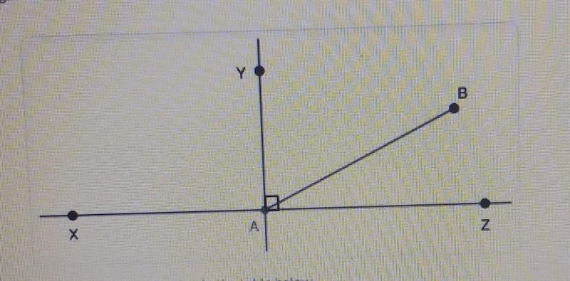 Row 1: What is the value of x? 1 or 3.5 or neither or bothRow 2: What is the m-example-1