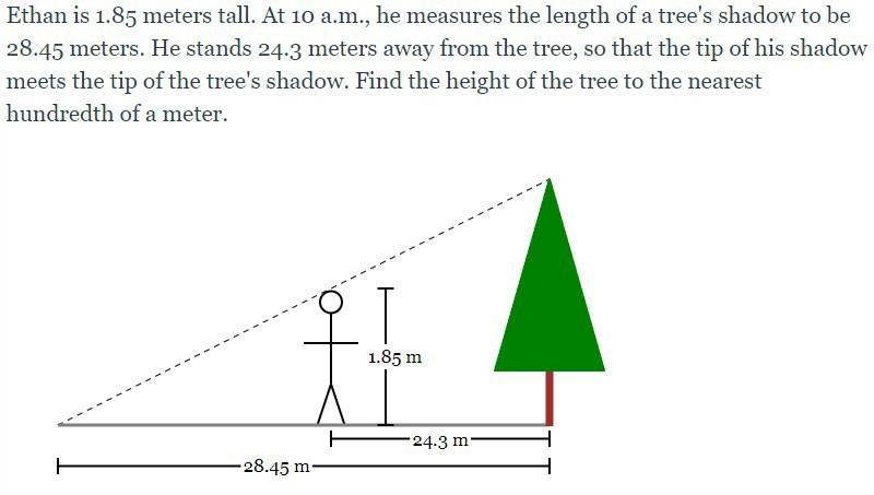 Ethan is 1.85 meters tall. At 10 a.m., he measures the length of a tree's shadow to-example-1