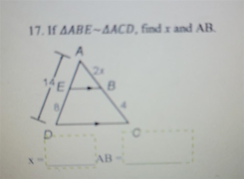 Help with Similarity Triangles Geometry. I dont understand how to solve for x on this-example-1