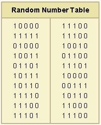 A five-question multiple-choice quiz has five choices for each answer. Use the random-example-1