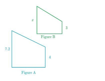 Figure A is a scale image of Figure B. What is the value of x?-example-1