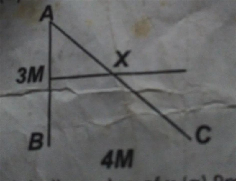 Calculate the value of x on the diagram (a) 9m2 (b) 16m2 (c) 5m (d) 3m (e) 4mpls check-example-1