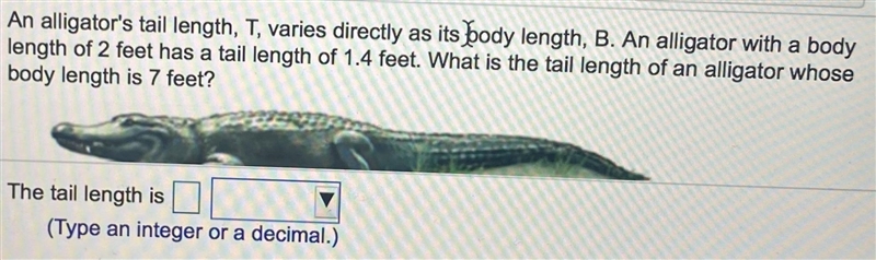 An alligator's tail length, T, varies directly as its body length, B. An alligator-example-1