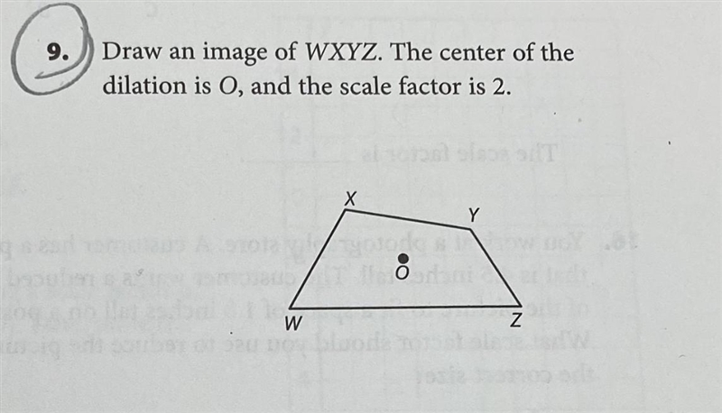 HELPPPPPPPPPPPPPPPPPPPPP-example-1