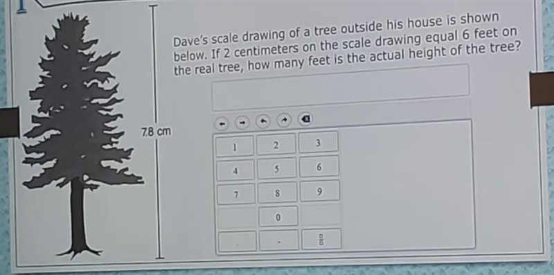 How many feet is the actual height of the tree?-example-1