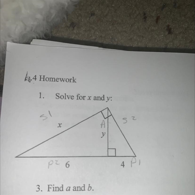 Solve for x and y Please help I forgot what I needed to do!-example-1