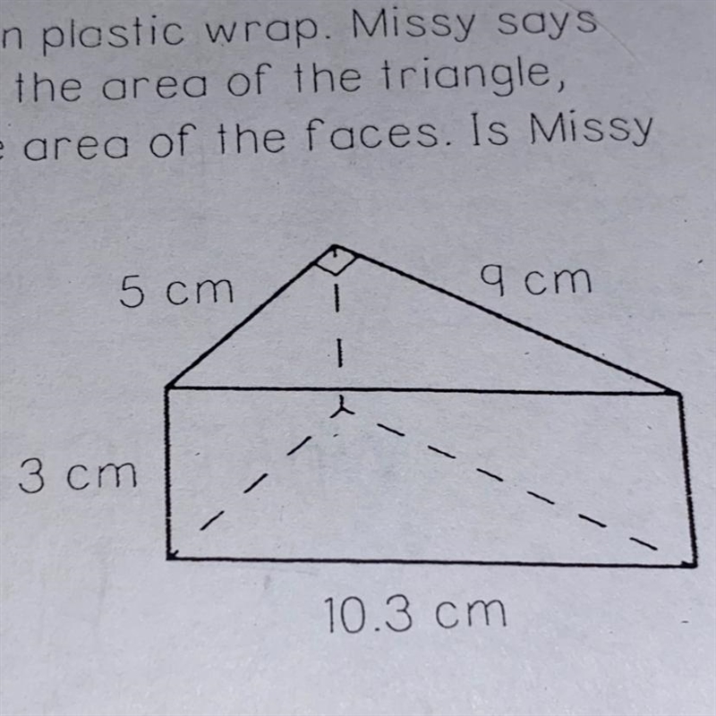 1. A block of cheese in the shape of a triangular prism is wrapped in plastic wrap-example-1