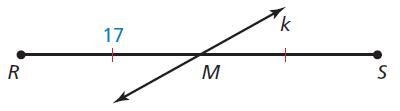 Identify the segment bisector of RS The length of RS is-example-1