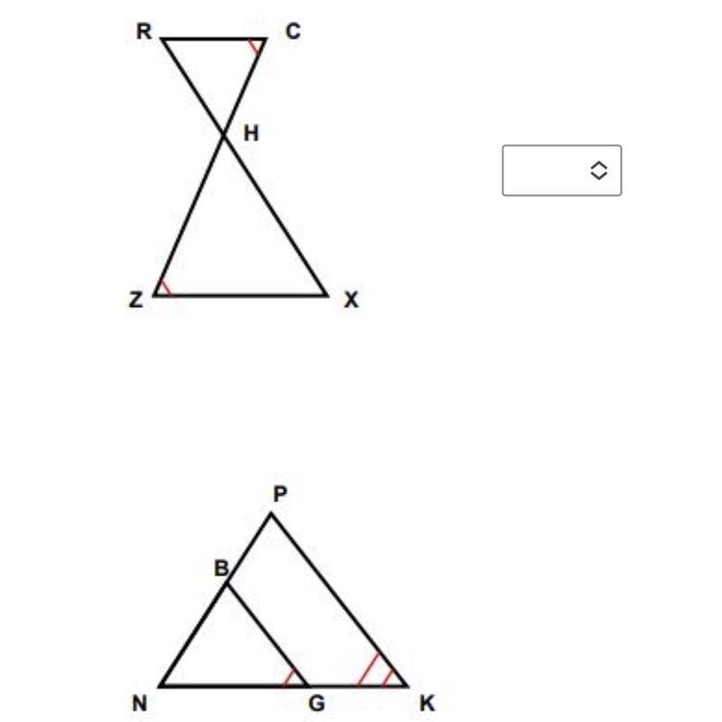 The following triangles are similar. True or False.-example-1