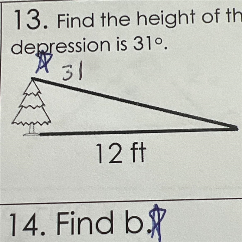 Please help! There are only 3 choices. Find the height of the tree in feet if the-example-1