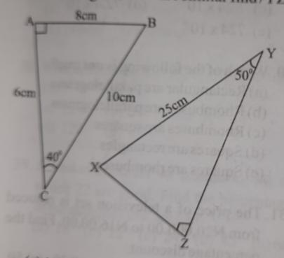 See the similar shape below and find the length of /YZ/-example-1