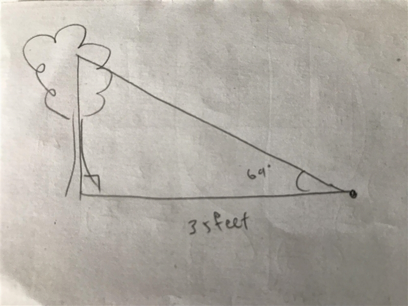 The angle of elevation to a nearby tree from a point on the ground is measured to-example-1