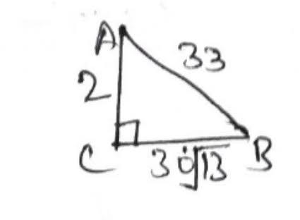 In the triangle ABC, angle C is a right angle. Find the value of the trig function-example-1