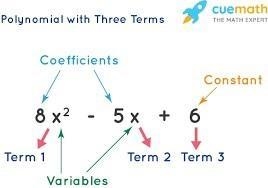 In the expression, 12x³ +8x² + 5x + 9, what is the constant? 3 8 12 9-example-1