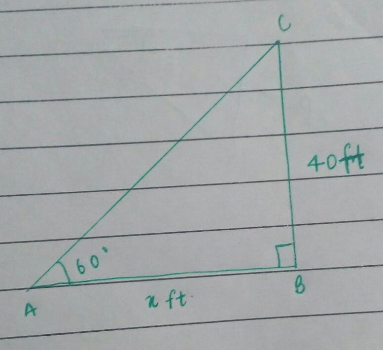 The angle from a stake in the ground to the top of a tree is 60 degrees. If the height-example-1