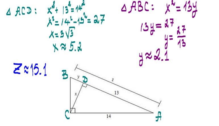 Find the value of x, y, and z.-example-1