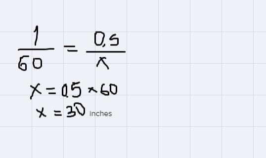 The winning snail moves 1/2 inch per second. How far will the snail travel in 5 seconds-example-1