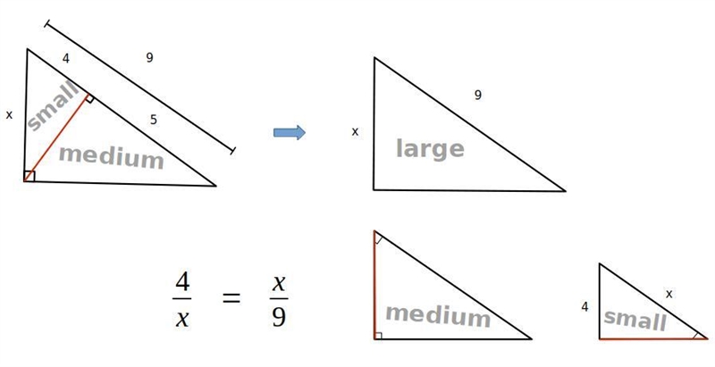 Could you help me find X,-example-1