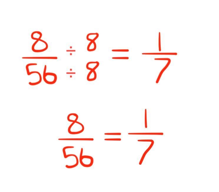 Compare these fractions 8/56 1/7-example-1