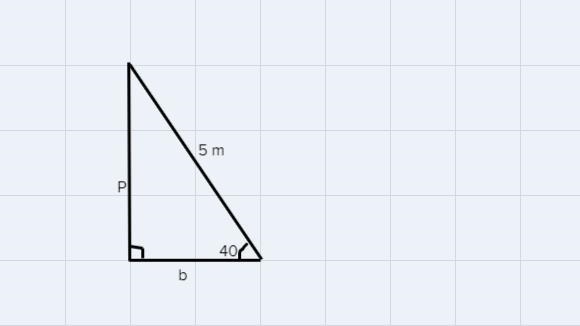 A right triangle has a hypotenuse of length 5.00 m, and one of its angles is 40.0°. What-example-1