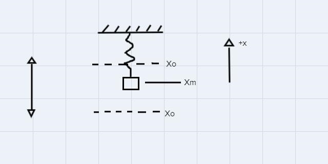 An object is attached to coiled spring. The object is pulled down ( negative direction-example-1