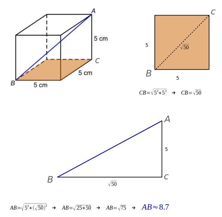 3d shape triangle maths question-example-1