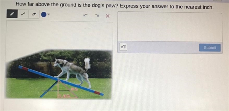 How far above the ground is the dog's paw? Express your answer to the nearest inch-example-1