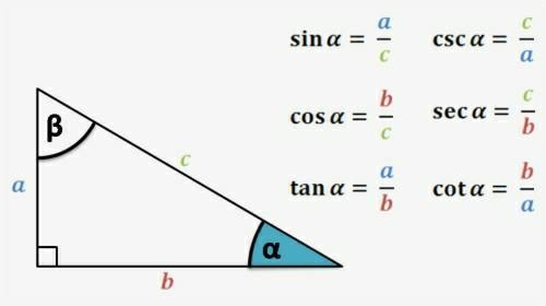 Please help me correct this!!-example-1