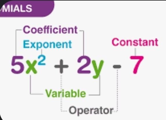 100 POINTS What is a term in Polynomials?-example-1