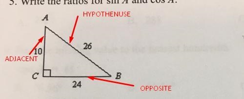 Please fully explain how to answer number 5 Thank you-example-1