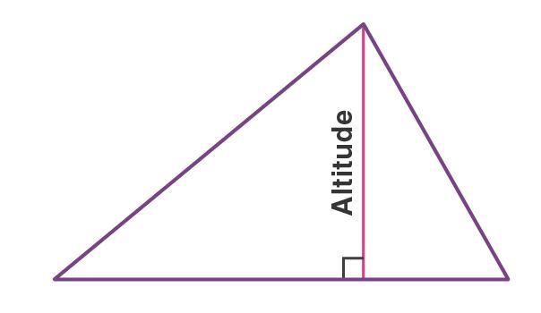 The height of a triangle is also known as the altitude. True False-example-1