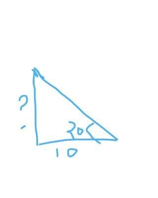 A boy sees a bird sitting on a tree at an angle of elevation of 20°. If a boy is standing-example-1