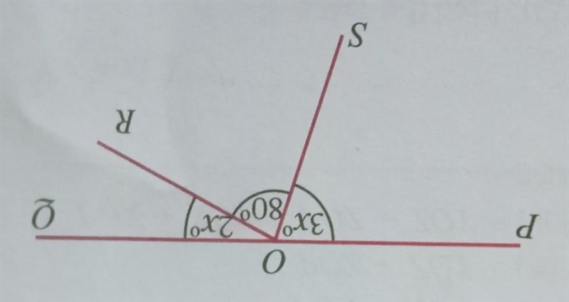 PQ is a straight line segment.According to the information marked in the figure, (I-example-1