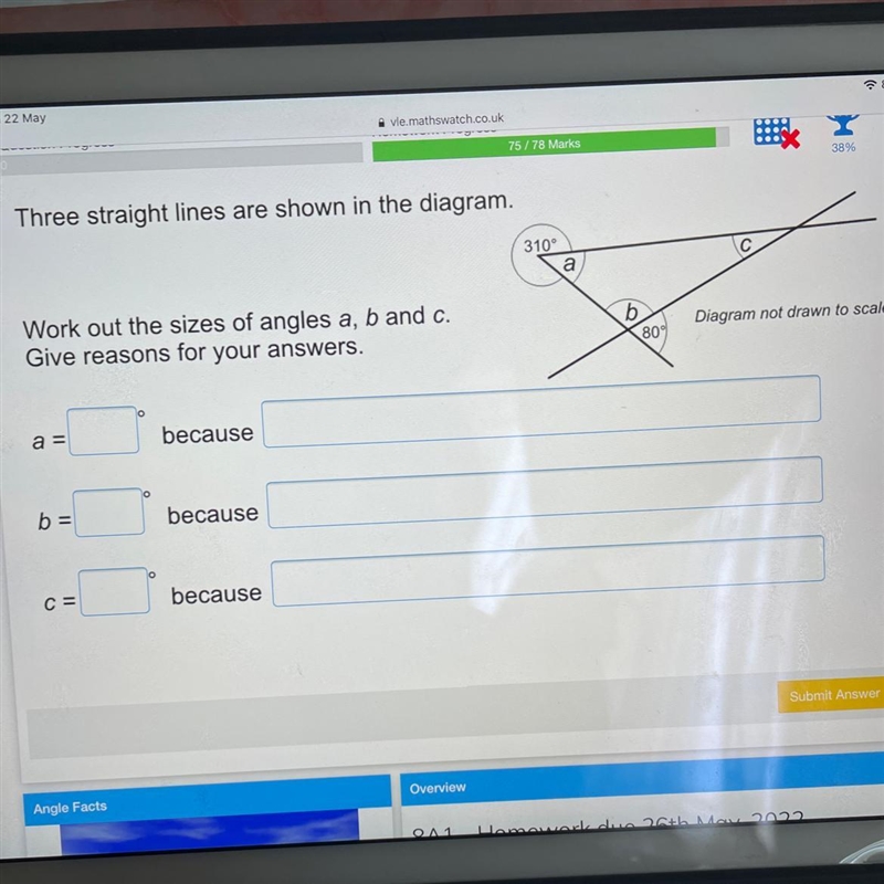 Three straight lines are shown in the diagram. 310° a C 38% 87%-example-1