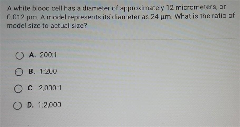 A white blood cell has a diameter of approximately 12 micrometers, or 0.012 um. A-example-1