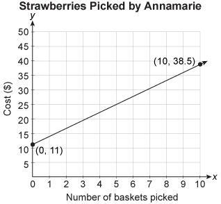 Bri and Annamarie are picking strawberries at two different strawberry farms that-example-1