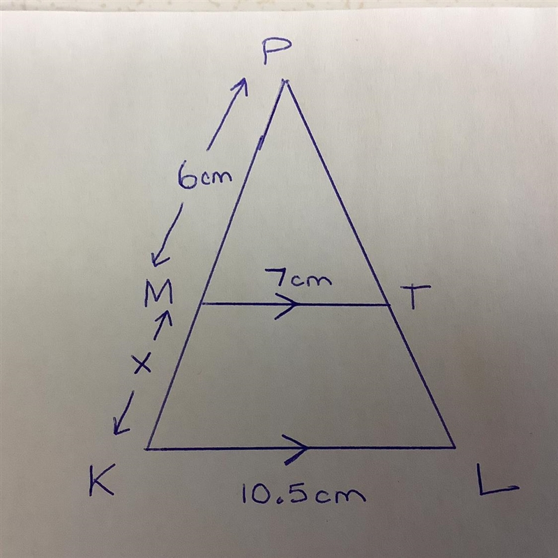 Find x. Hint: Use Similar Triangles.-example-1